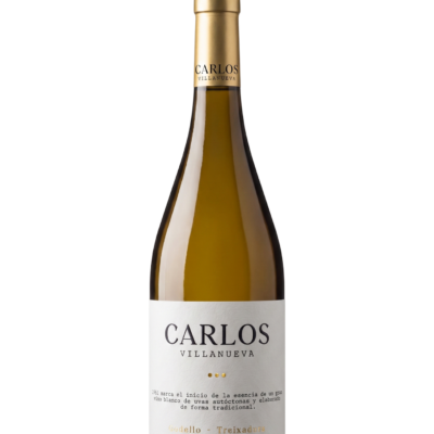 Carlos Villanueva Godello