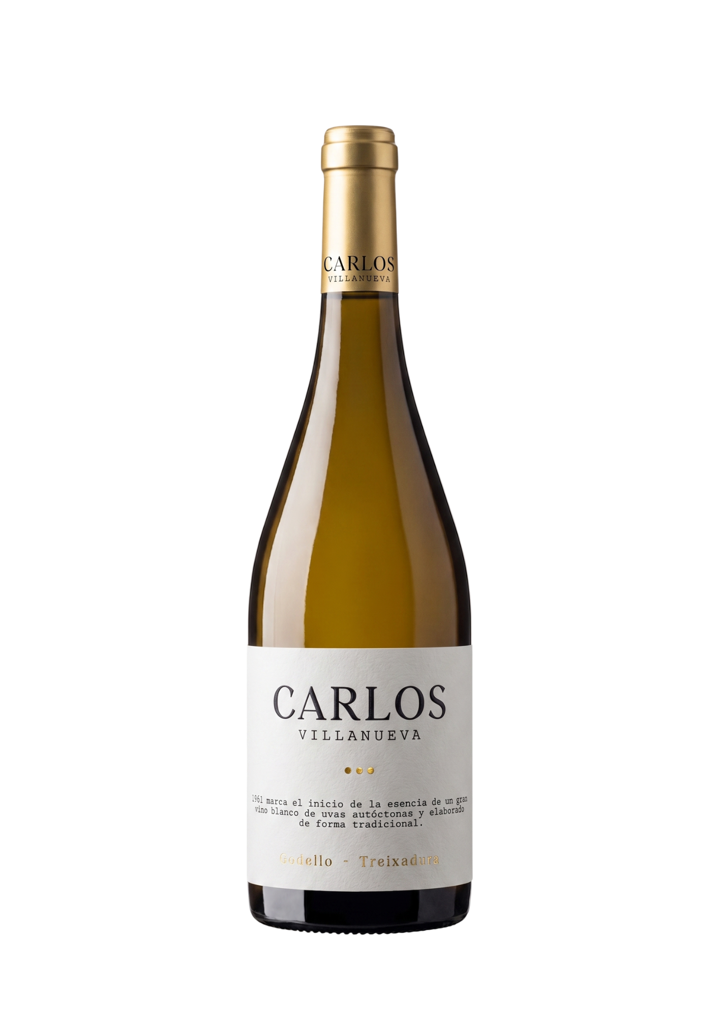Carlos Villanueva Godello